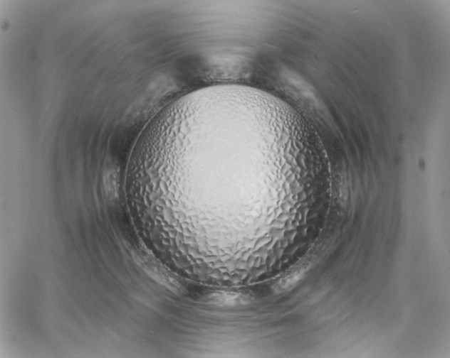 X0000060780326200511171249