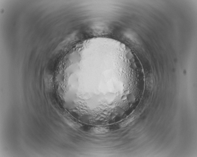 X0000060780327200511171249