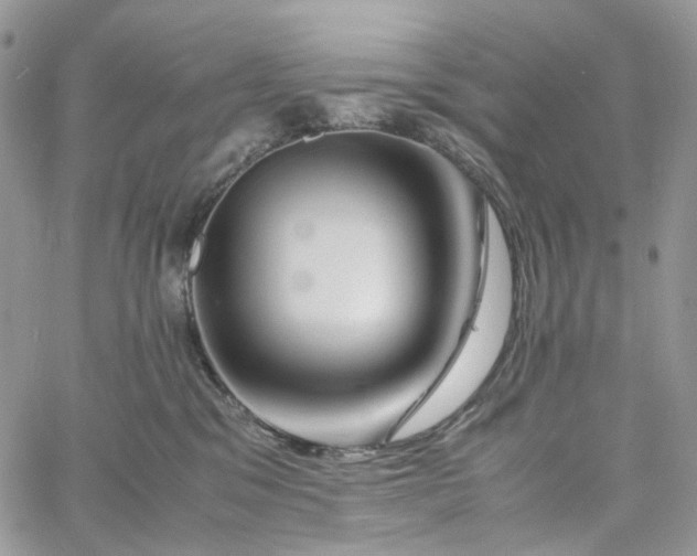 X0000060780329200511171249