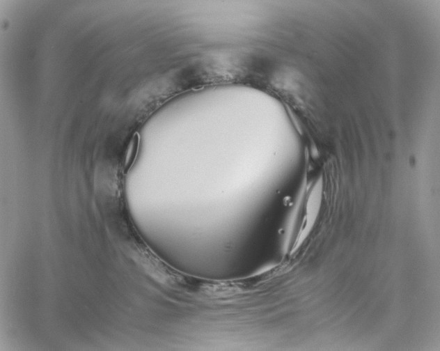 X0000060780331200511171249