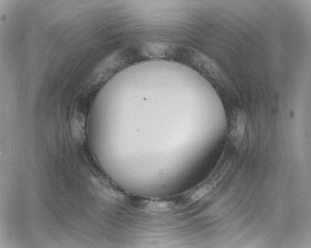 X0000060780332200511171249