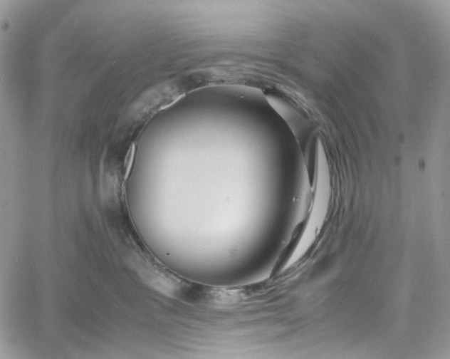 X0000060780333200511171249