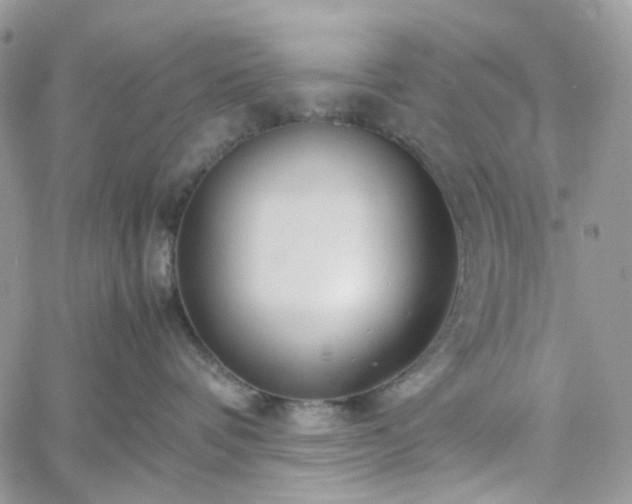 X0000060780336200511171249