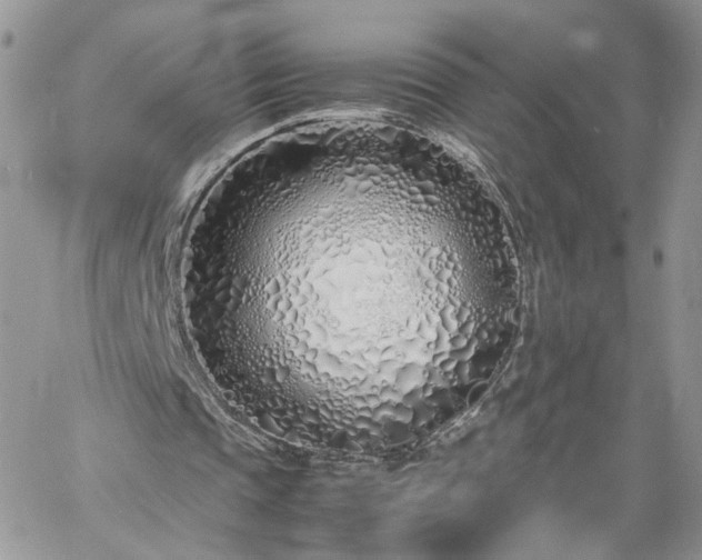 X0000060780337200511171248