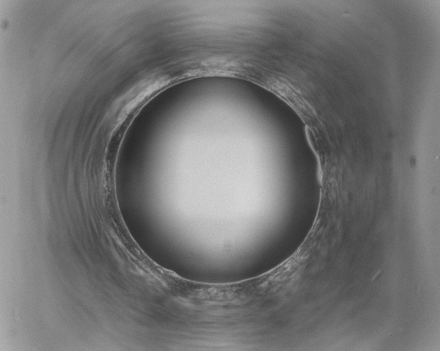 X0000060780338200511171248