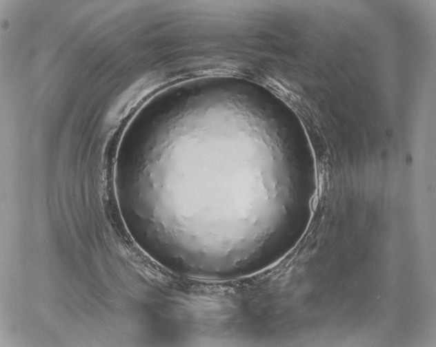 X0000060780339200511171248