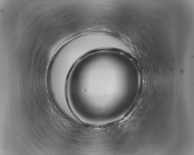 X0000060780340200511171248