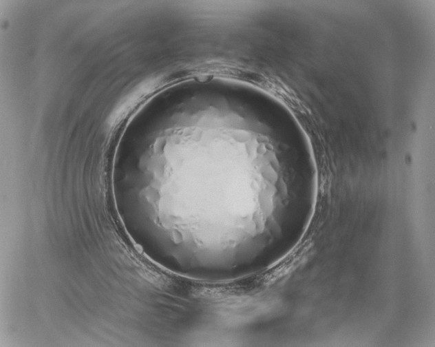 X0000060780341200511171248