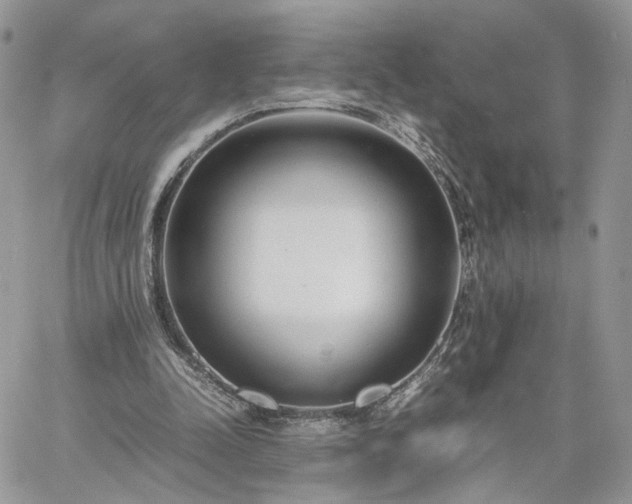 X0000060780342200511171248