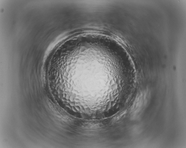 X0000060780343200511171248