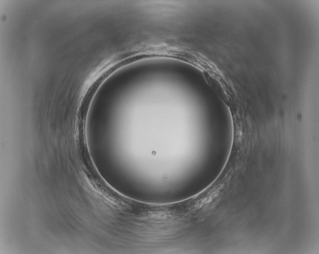 X0000060780344200511171248