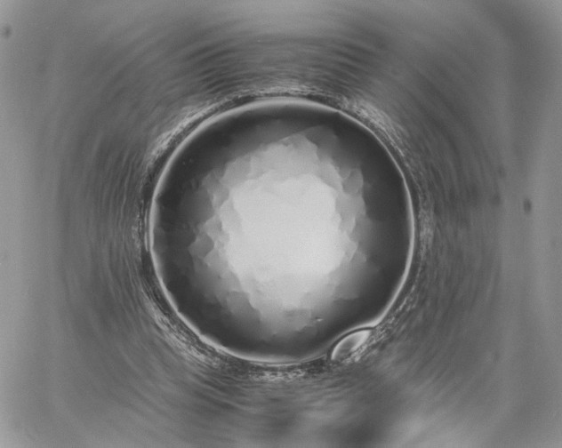 X0000060780345200511171248