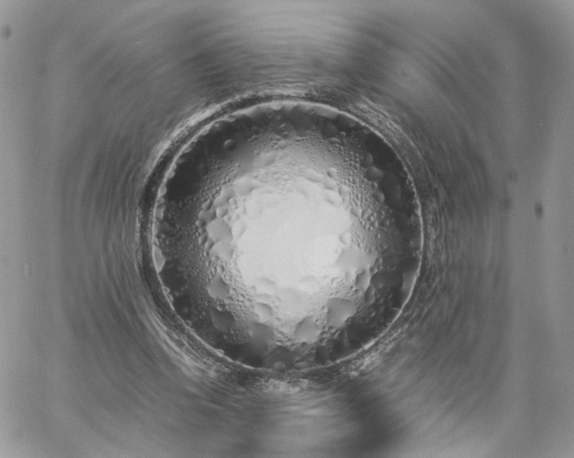 X0000060780346200511171248