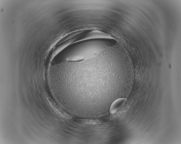 X0000060780347200511171248