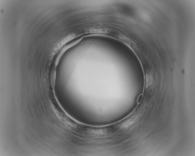 X0000060780349200511171248