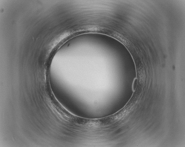 X0000060780350200511171248