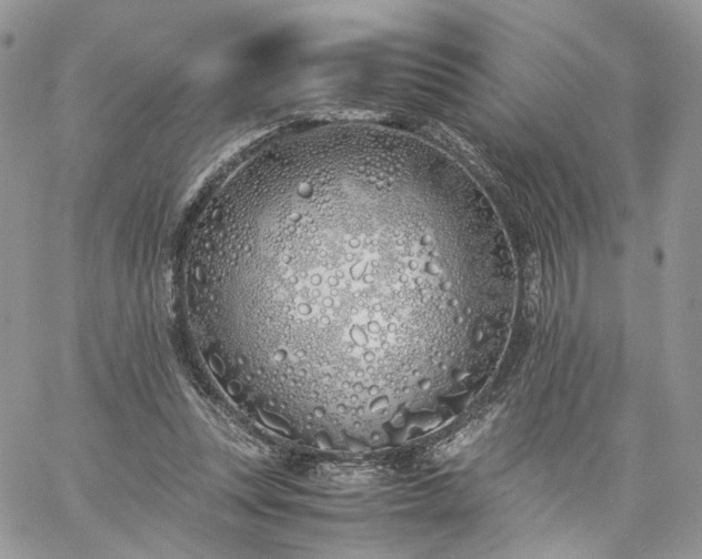 X0000060780351200511171248