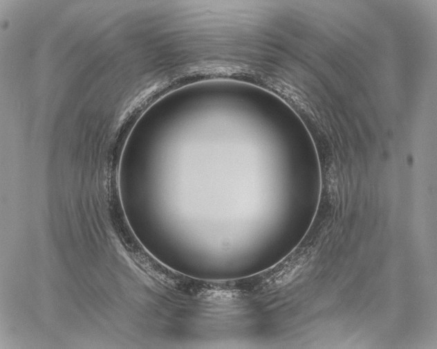 X0000060780352200511171248