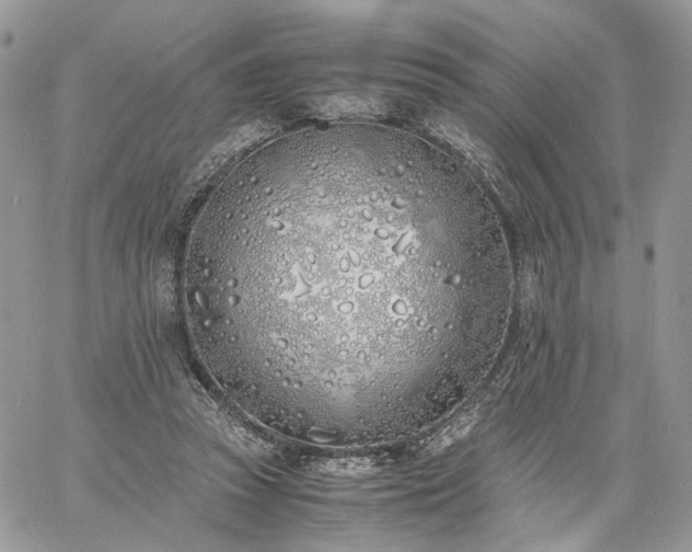 X0000060780353200511171249