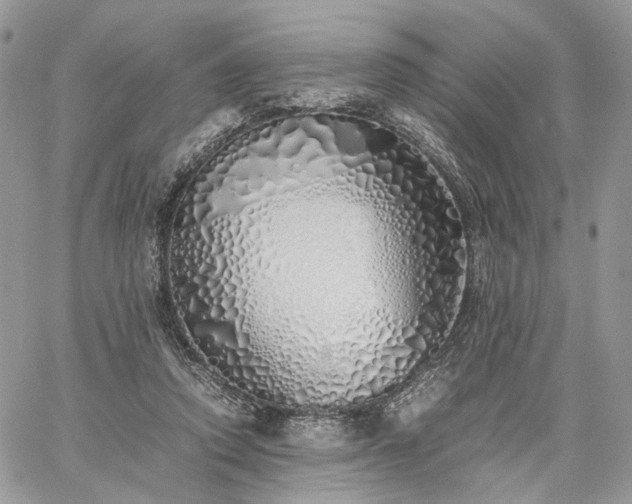 X0000060780354200511171249