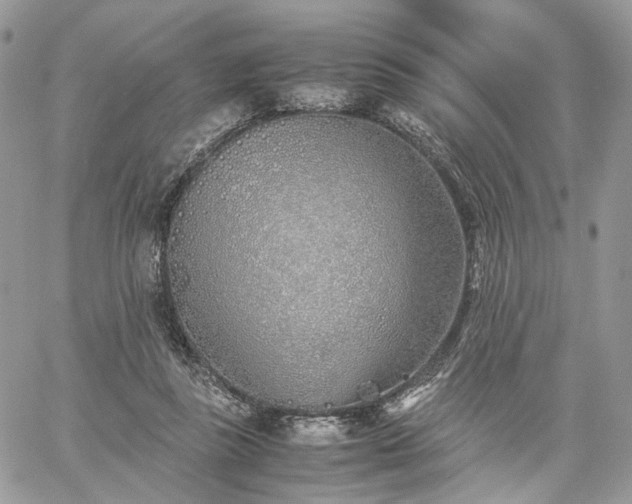 X0000060780355200511171249