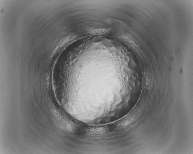 X0000060780357200511171249