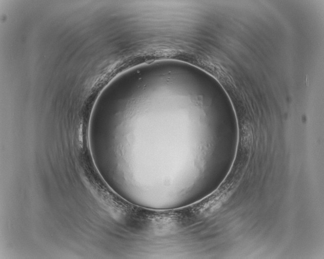 X0000060780358200511171249