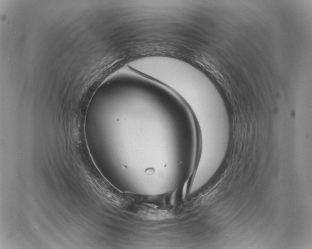 X0000060780359200511171249