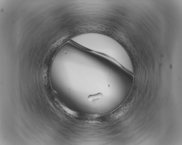 X0000060780360200511171249