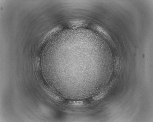 X0000060780361200511171249