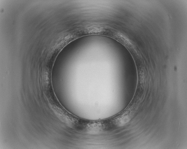 X0000060780362200511171249