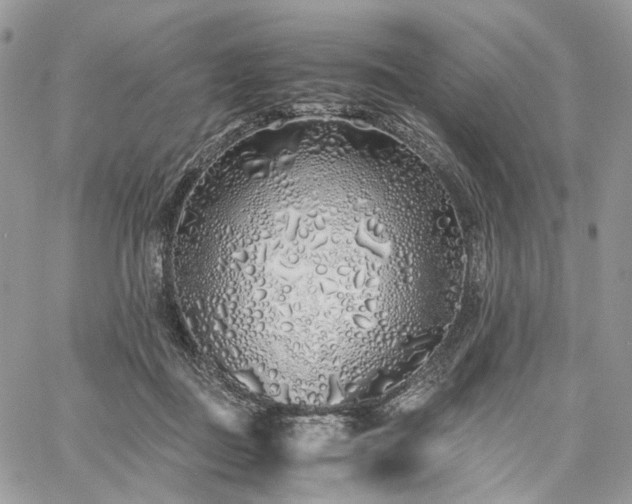 X0000060780363200511171249