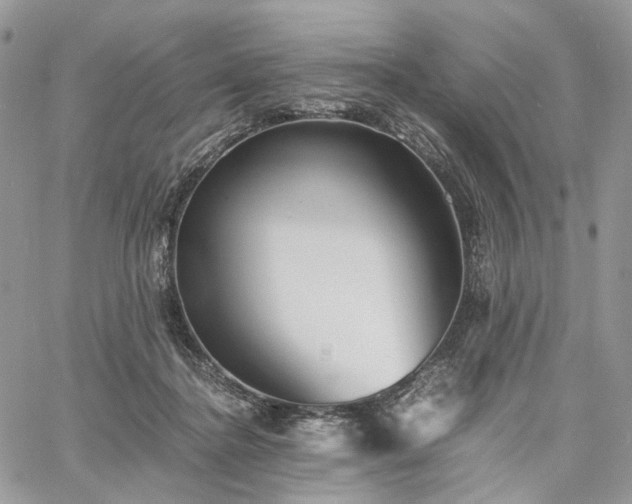 X0000060780364200511171249