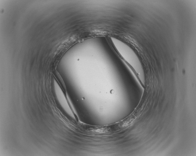 X0000060780365200511171249