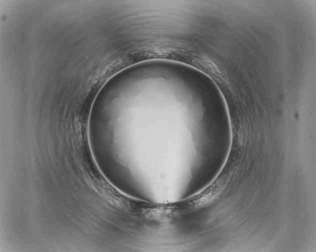 X0000060780366200511171249