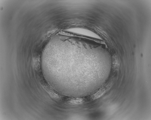 X0000060780369200511171249