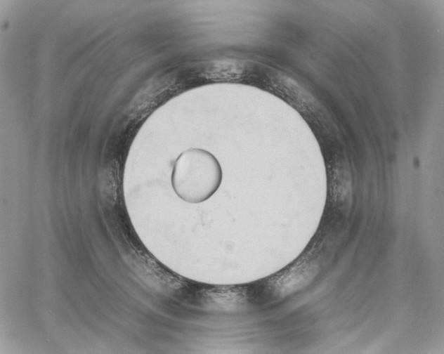 X0000060780370200511171249