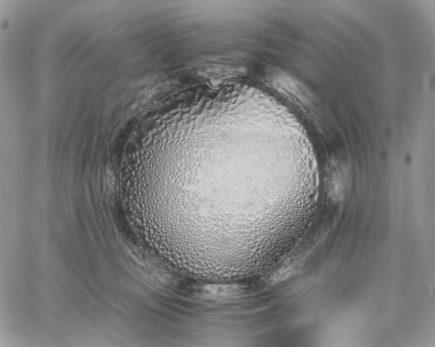 X0000060780371200511171249