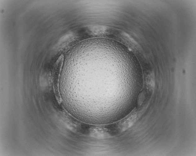 X0000060780372200511171249