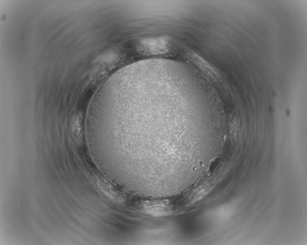 X0000060780373200511171249