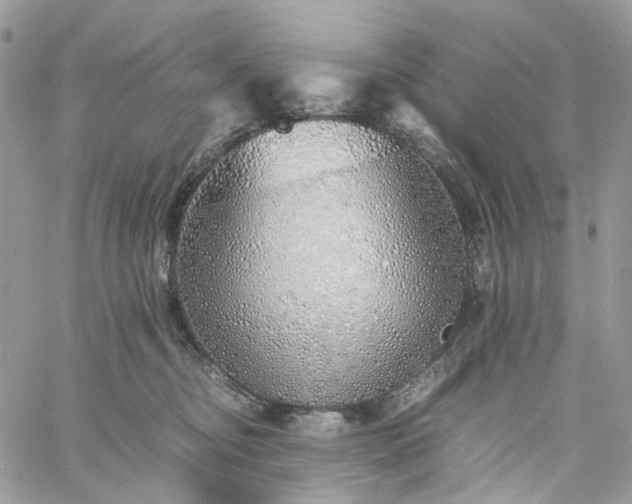 X0000060780374200511171249