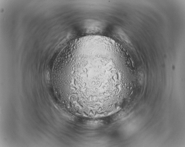 X0000060780375200511171249