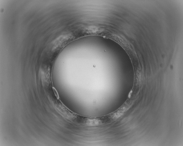 X0000060780376200511171249