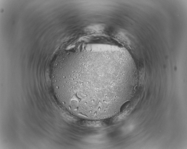 X0000060780377200511171249