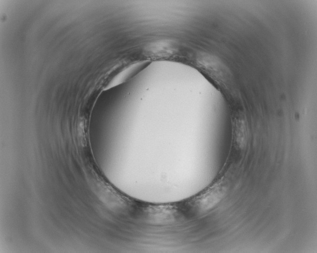 X0000060780378200511171249