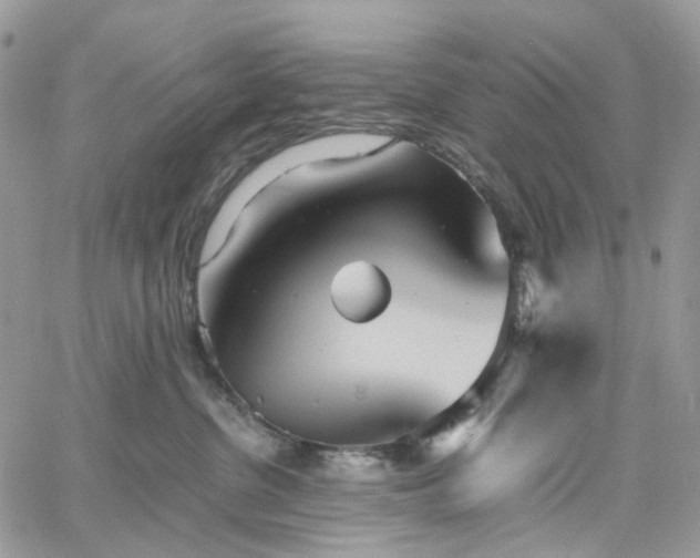 X0000060780380200511171249