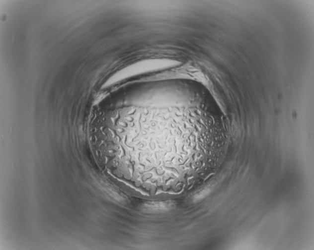 X0000060780381200511171249