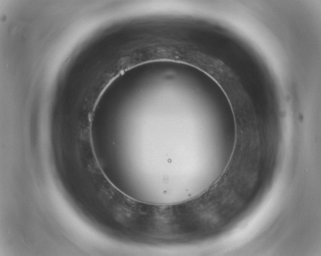 X0000060780382200511171249