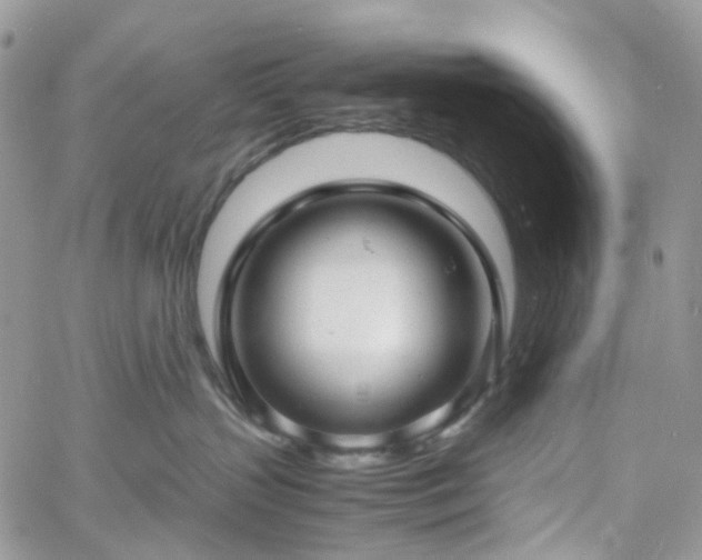 X0000060780383200511171249