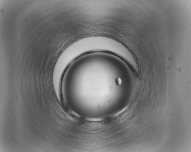 X0000060780384200511171249